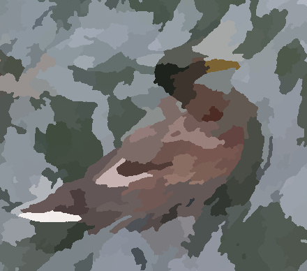 Duck2